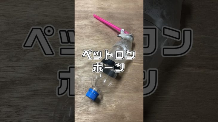 即興工作　ペットロンボーン　#即興工作 #手作りおもちゃ