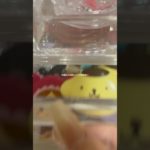 いつかメイク動画出したい😆💗#生活音 #コスメ音 #コスメ #メイク #無加工系統