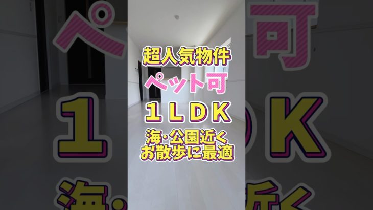 超人気物件✨築浅ペット１ＬＤＫマンション🐶お問い合わせは右上の･･･の説明から😊