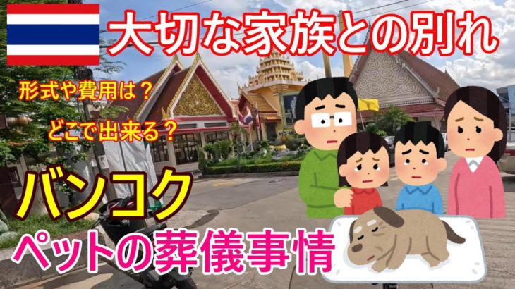 大切な家族との別れ、バンコクのペット葬儀事情、方法・形式・費用など、タイ人のペットに対する意識の違い、ルーツと闇市の歴史【バンコク・モトブログ】