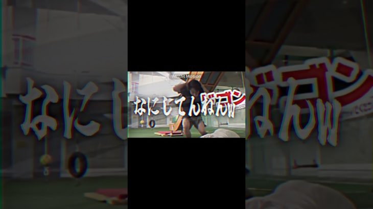 ここ何回見てもおもろいw #フィッシャーズ #シルクロード #モトキ #ンダホ #ぺけたん