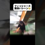 流石シルクww🤣#フィッシャーズ #シルクロード