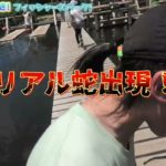 【密着GYMNAST】フィッシャーズパーク予告編！