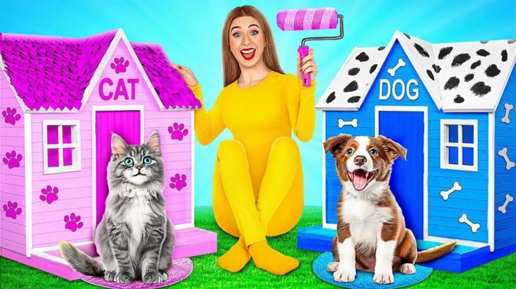 私たちはペットのための秘密の部屋を建てます Multi DO Smile