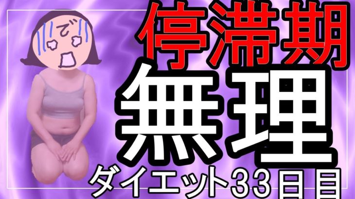 【ダイエット Vlog】もうダイエット続けるの無理・・・停滞期辛すぎ問題をどうにかして欲しい・・・アラフォーおデブ女のリアルダイエット33日目