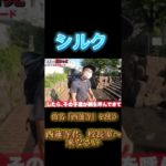 シルクの伝説#short #フィッシャーズ