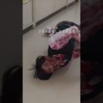 #フィッシャーズ切り抜き #shorts