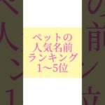 ペットの人気名前ランキング#書道薬剤師 #書道 #習字 #名前 #命名#shorts