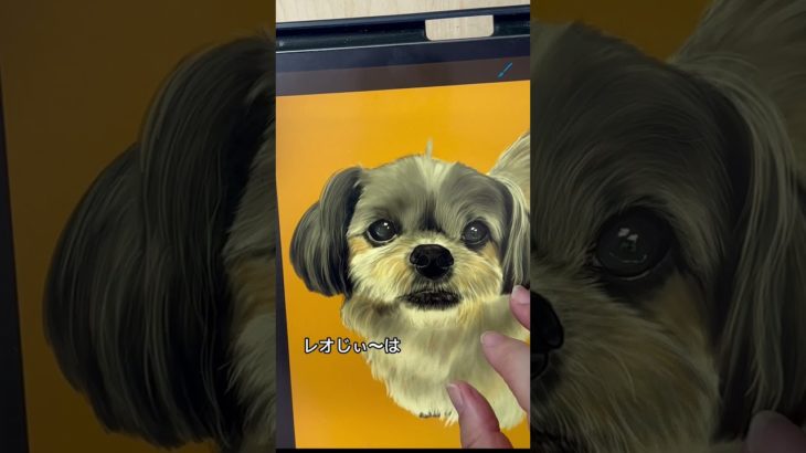 犬の絵デジタルアート #アニマルアート #ペットの似顔絵