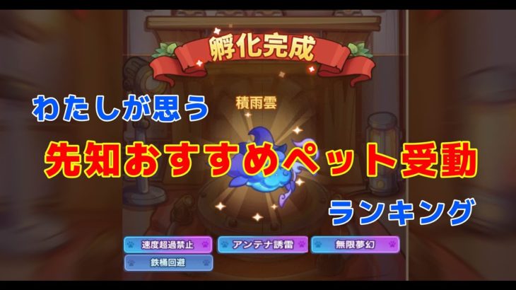 キノコ伝説｜わたしが思う！！先知にぴったりのペット受動ランキング