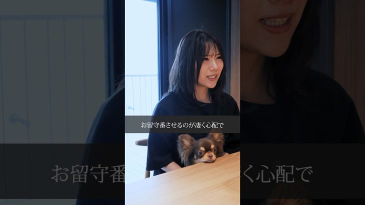 【 ドラマ 】 ペットのお留守番 が心配…　吠え癖 噛み癖 って治せるの？ 〔 犬 ペット しつけ 〕