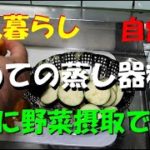 【一人暮らし】デブ脱出！蒸し器を使って野菜ダイエット開始！