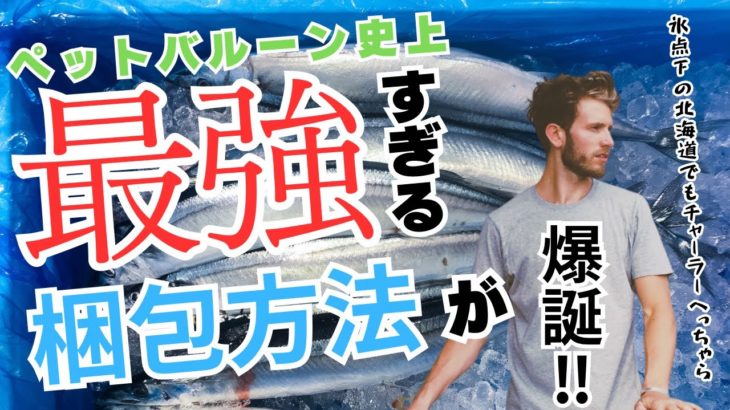 ペットバルーン史上、最強すぎる梱包方法が爆誕！！お魚を元気に安全にお届けする梱包術！！大切なお魚を毎日元気にお客様の元へお届けしています。航空便でカイロが使えない北海道・沖縄へ発送の場合の保温方法など