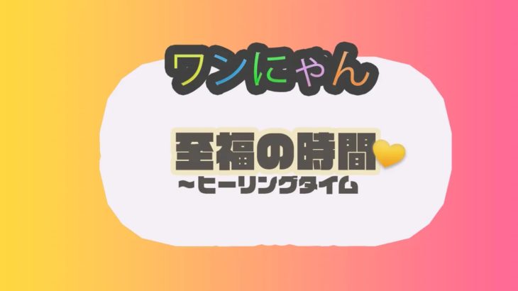 ヒーリングワンド抄音の使い方【アニマルヒーリング】