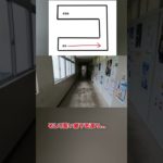 伊実あるある 【図書室編】行くだけでダイエットになる？！  #高校生 ＃伊万里実業 ＃ダイエット ＃学校あるある ＃読書