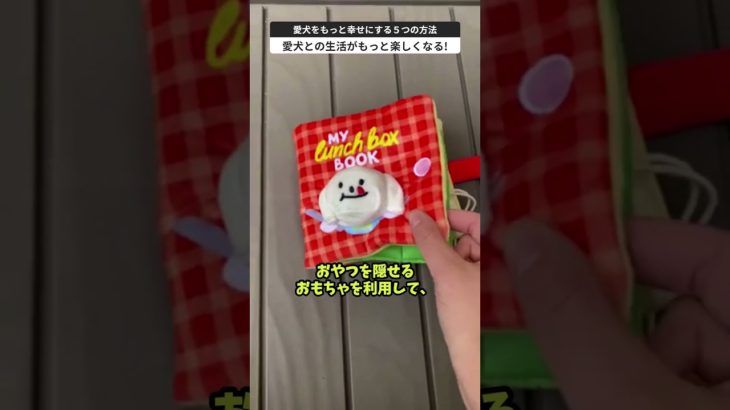 愛犬をもっと幸せにする５つの方法#犬 #ペット #雑学