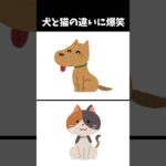 犬のネコの違いに爆笑ｗｗ　 #犬 #ペット #雑学