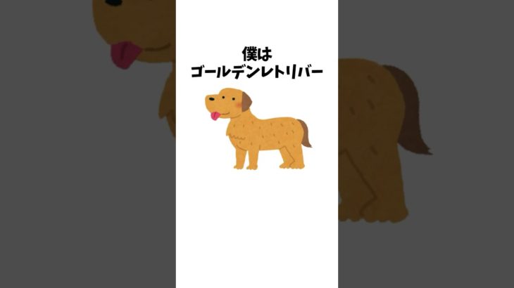 ゴールデンレトリバーのエサ代がえぐいｗｗ　 #犬 #ペット #雑学