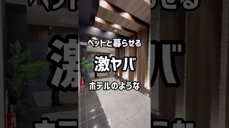 【札幌賃貸情報】ペットと暮らせるホテルのような激ヤバ物件‼︎#札幌#札幌不動産＃札幌賃貸マンション#一人暮らし#同棲