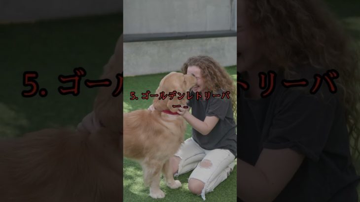 【初心者必見】飼いやすい犬種ベスト10！🐶 #shorts  #ペット