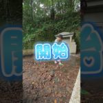 【初心者】【ダイエット】135㎏から75㎏減量【いい話】50代から【健康】に瘦せる【チャンネル登録お願いします】#shorts