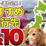 【2024年最新版】一年旅して見つけた！ペットと行って良かった旅先ベスト10！【車中泊】
