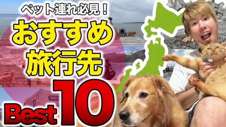 【2024年最新版】一年旅して見つけた！ペットと行って良かった旅先ベスト10！【車中泊】