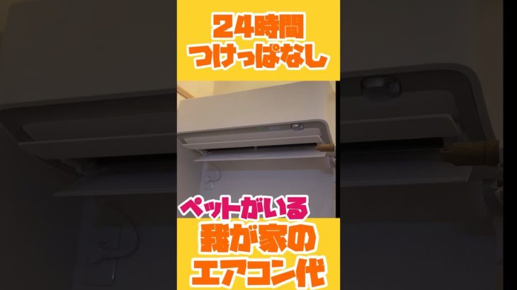 犬2匹、猫2匹のペットがいる我が家のエアコン代　2024年7月　#エアコン代　#いぬのいる生活  #柴犬