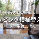 【50代主婦blog】わんこと過ごす空間作り/ペット用品紹介/今日の晩ごはん