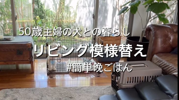 【50代主婦blog】わんこと過ごす空間作り/ペット用品紹介/今日の晩ごはん