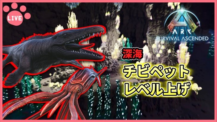 【ASA公式PVE】チビペットレベル上げ