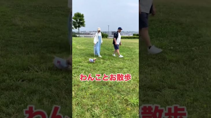 初めて夫婦でCM撮影をしました😳👏👏#ペットショップ#ワンラブ