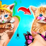 貧乏な猫からハッピーキャットへ😱 ペットオーナーのためのバイラルハック＆DIYアイデア！123 GO!による秘密のヒント