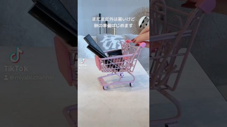 秋の限定コスメで洒落顔ワントーンメイク🍂 #ETVOS #ピンクメイク