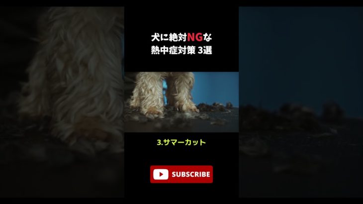 犬に絶対NGな熱中症対策3選 #犬 #ペット #雑学