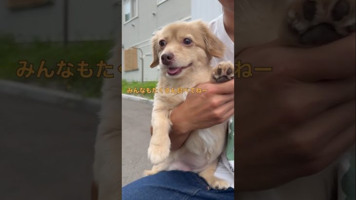 ペットインタビューNo.1