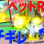 公式が追加したペットRNGにおとうとがブチギレてます。【Pet Simulator 99】【ロブロックス/ROBLOX】