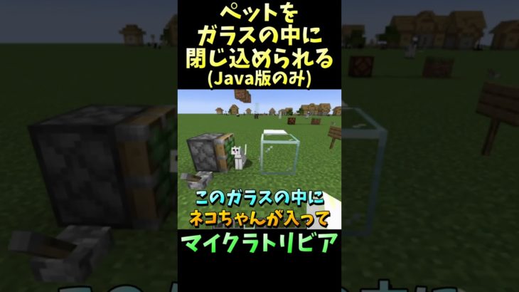 ペットをガラスの中に閉じ込められる【誰かに教えたくなっちゃうマイクラトリビア #Shorts】 #マイクラ #マイクラ豆知識 #マインクラフト