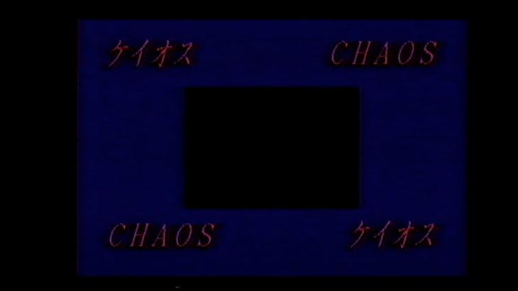 “The Chaos”  1994