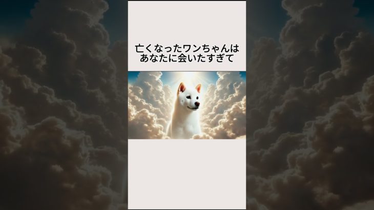 VOICEVOX：青山龍星#愛犬 #愛猫 #ペットロス #ダックス #チワワ #トイプードル #ゴールデンレトリバー #ビーグル #ブルドッグ #パグ #ポメラニアン #ピンシャー #パピヨン #柴犬