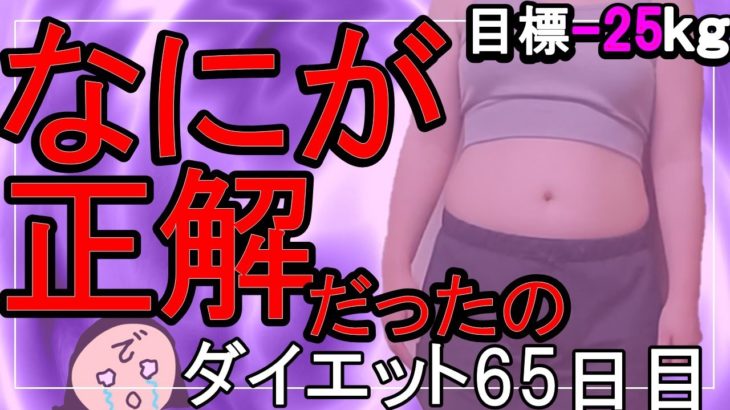 【ダイエット Vlog】朝マック欲を抑えるか解放するか_アラフォーおデブ女のリアル本気ダイエット食事記録65日目