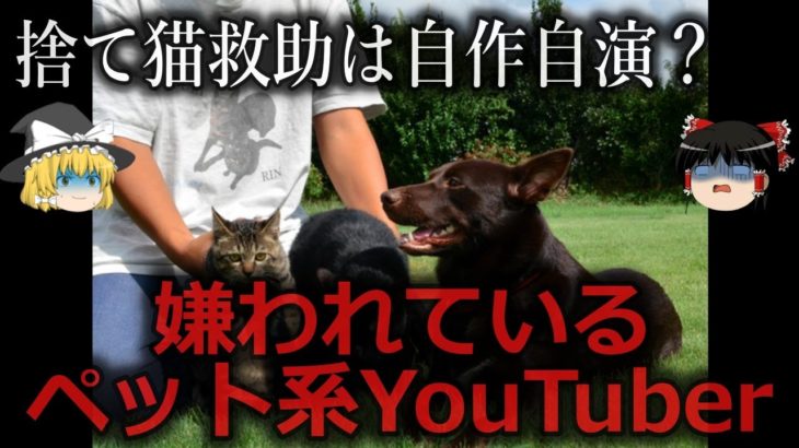 【ゆっくり解説】金儲けしか頭にない…嫌われているペット系YouTuber３選をゆっくり解説
