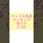 ペットの名前ランキング#書道薬剤師 #書道 #習字 #名前 #命名#shorts