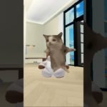 【ペット】あなたのペット！