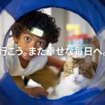 ヒルズ プリスクリプション・ダイエット エナジーアシスト〈猫猫用〉