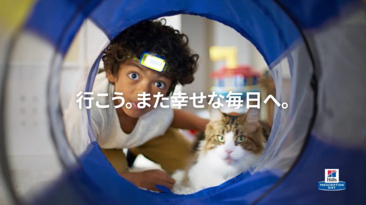 ヒルズ プリスクリプション・ダイエット エナジーアシスト〈猫猫用〉