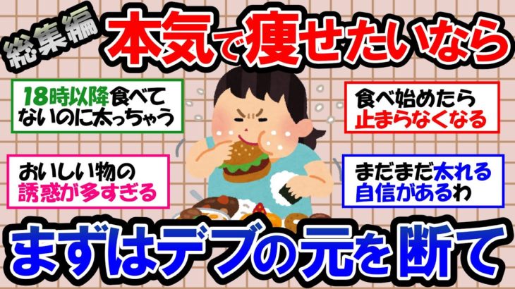 【ガルちゃん 有益トピ】ダイエットを成功させるために、まずは太る原因を知り、太る習慣をやめよう！本気で痩せたいなら生活習慣を変えるべし！食事｜運動｜筋トレ【ゆっくり解説】