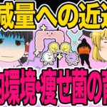 【ダイエット】健康的に確実に痩せるには、腸内清掃・痩せ菌摂取・痩せ菌を育てるそして痩せ菌をキープすること！痩せ菌の育て方徹底解説【ゆっくり解説】
