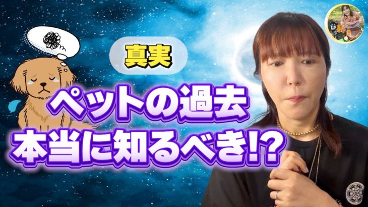 【真実】保護したペットの過去は知るべき？