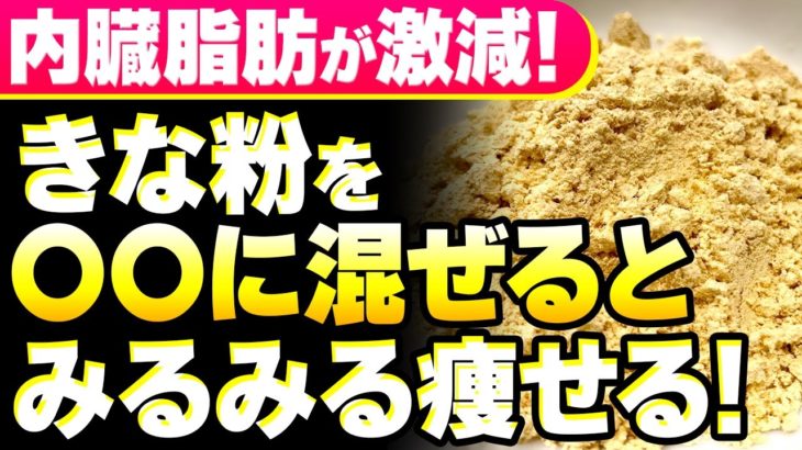 【ごっそり痩せる🤩】きな粉に混ぜるとダイエット効果が倍増する食材５選🥄✨